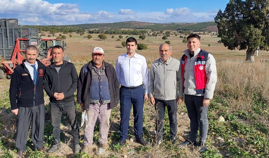 Dumlupınar kaymakamından şeker pancarı hasadını incelemesi