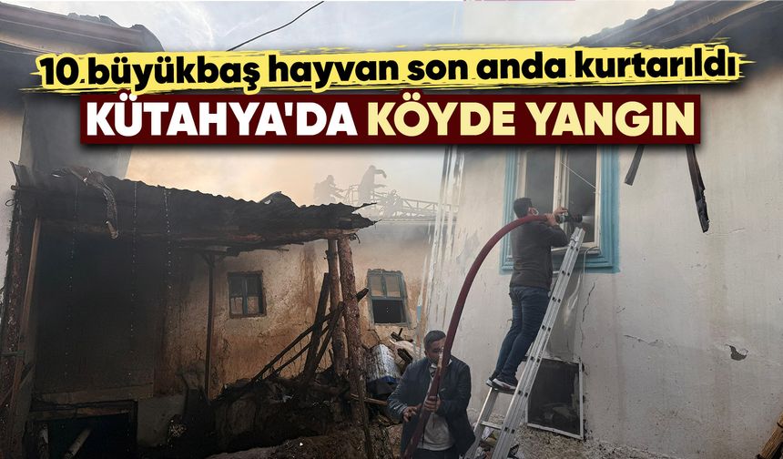 Kütahya'da köyde çıkan yangında iki kuzenin evleri yandı