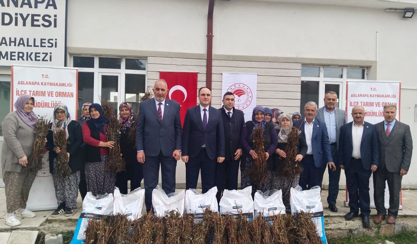 Kütahya Aslanapa’da geleceğe nefes için fidan dağıtıldı