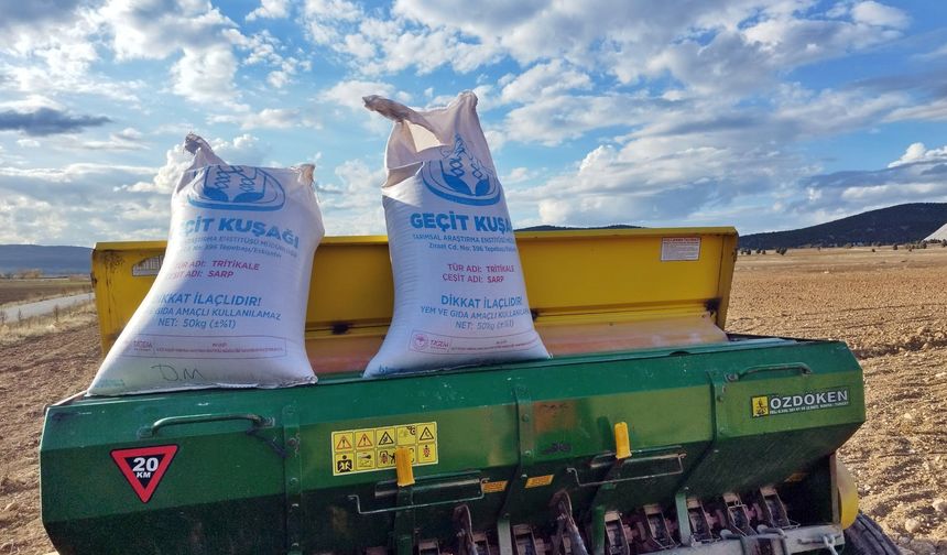 Kütahya Çavdarhisar’da buğday ve tritikale ekimi gerçekleşti