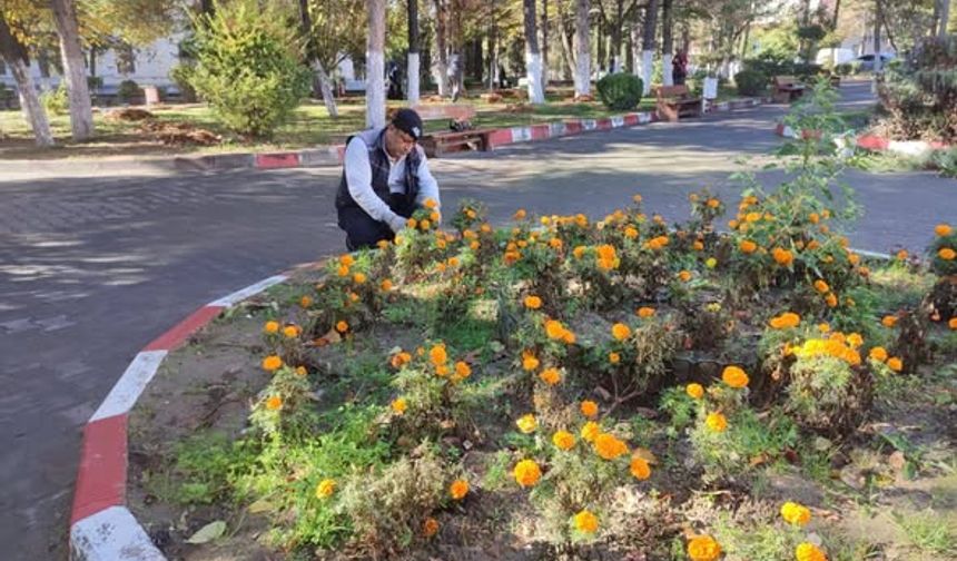 Kütahya Gediz’de yeşil alanlarda temizlik ve budama sürüyor
