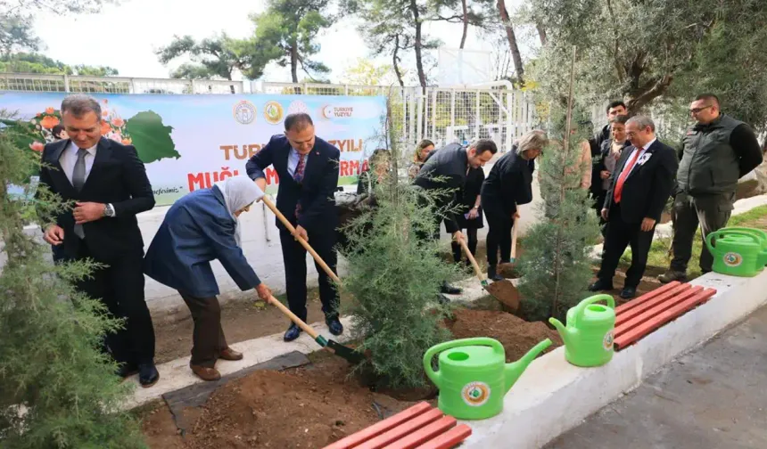 Muğla’da 16 bin 453 öğretmen için fidan dikimi yapıldı