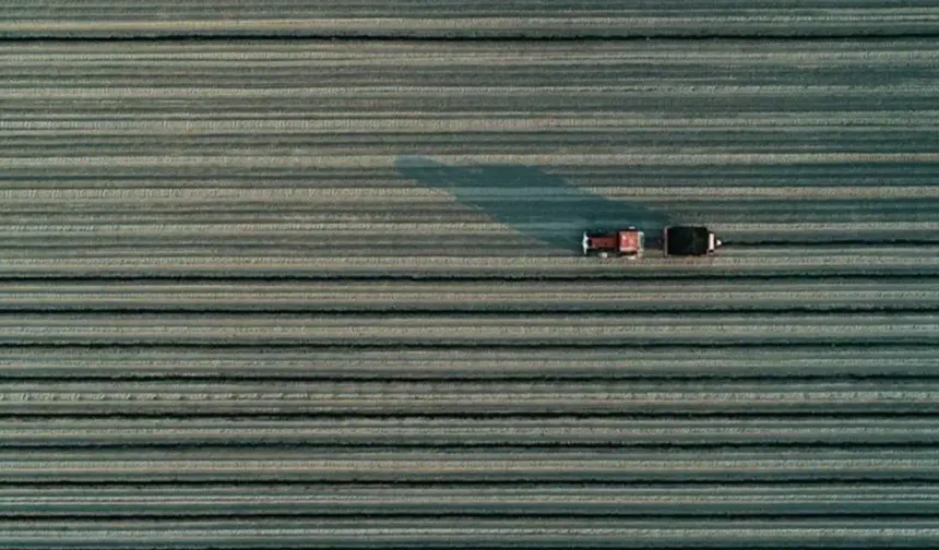 Son dönem yağışları tarıma ve su kaynaklarına yaradı