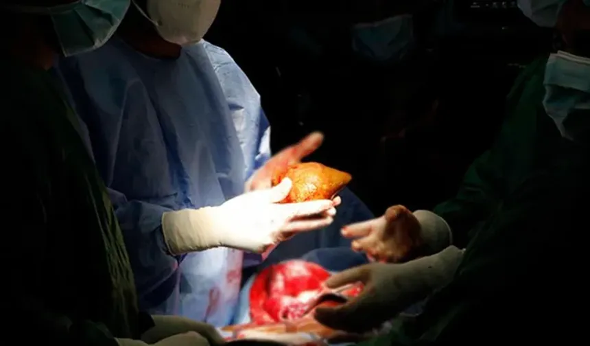 ABD'de bir hasta böbrek nakli sonrası kuduzdan yaşamını yitirdi