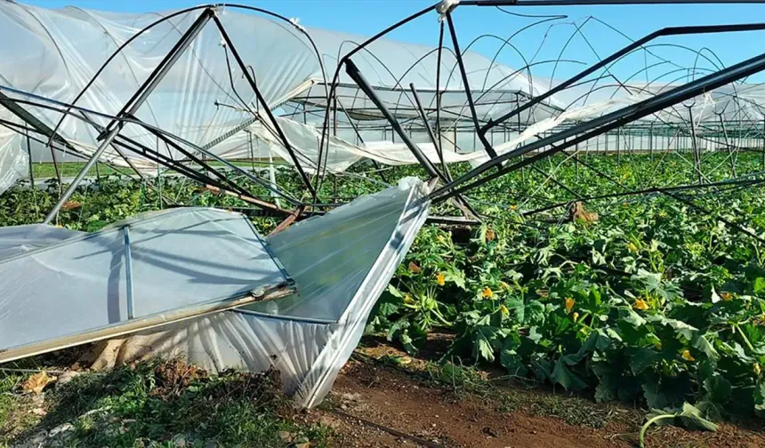 Antalya’da hortum seraları yıktı: Milyonluk zarar oluştu