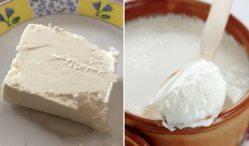 Süzme peynir mi yoğurt mu? En sağlıklısı sonunda açıklandı