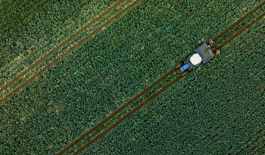 Kütahya’da üreticiye 41 milyon liralık destek