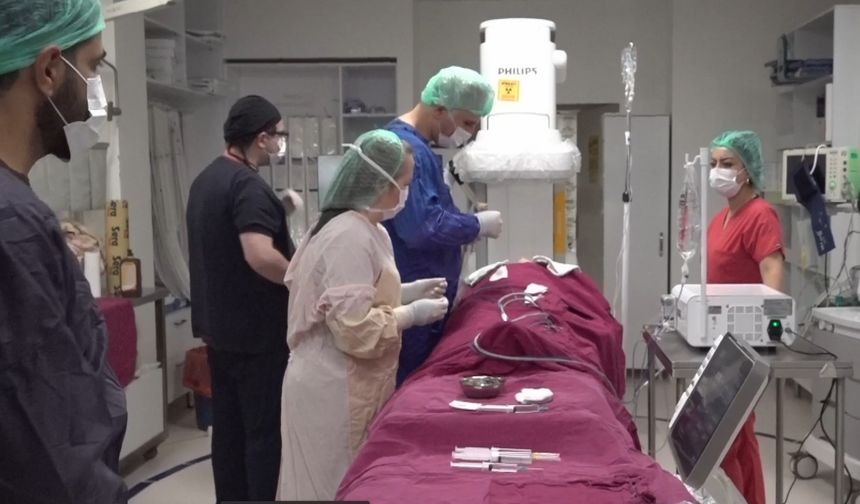 Eskişehir’de yabancı hekimlere girişimsel radyoloji eğitimi verildi