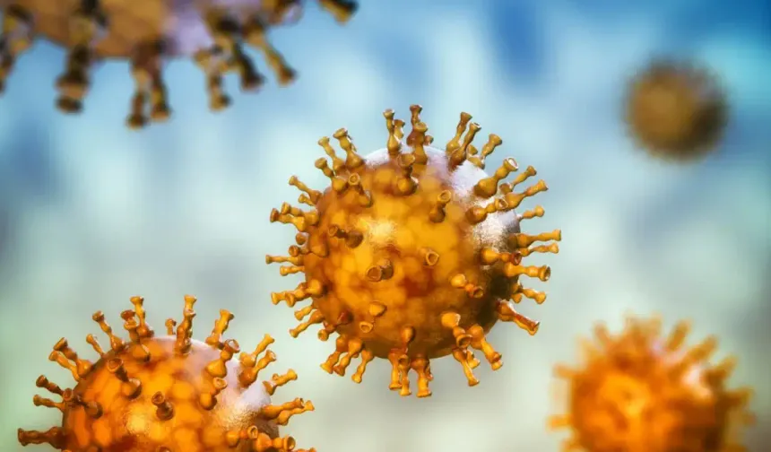 H3N2 virüsü hızla yayılıyor: Türkiye için uyarı yapıldı