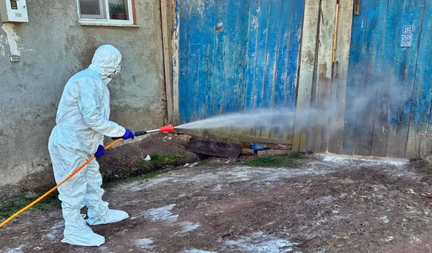 Kütahya Çavdarhisar’da hayvancılık işletmelerine dezenfeksiyon çalışması