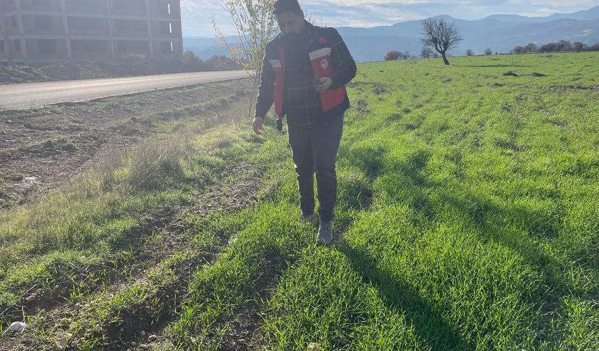 Kütahya Emet’te buğday tarlalarında fenolojik izleme