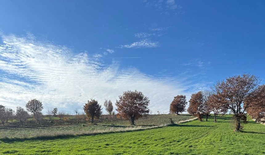 Kütahya Pazarlar’da fenolojik tarla gözlemleri yapılıyor