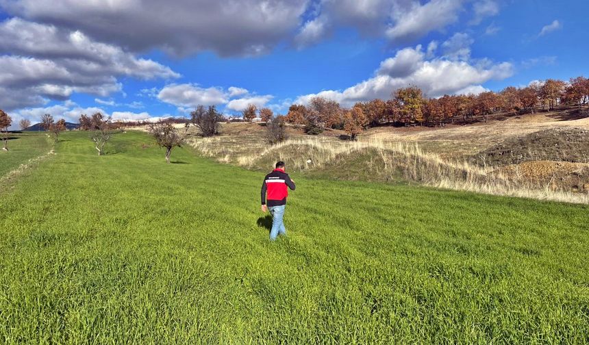 Kütahya Şaphane’de fenolojik bitki gözlemleri yapıldı
