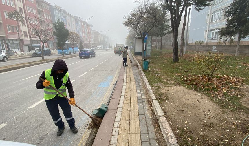 Kütahya’da Dumlupınar Bulvarı ve 100. Yıl Mahallesinde yaprak temizliği yapıldı