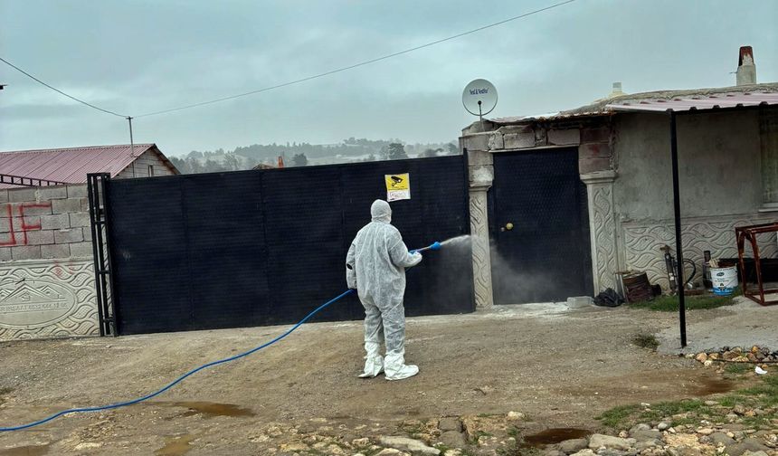 Kütahya Yayla Köyü’nde hayvancılık işletmelerine dezenfeksiyon