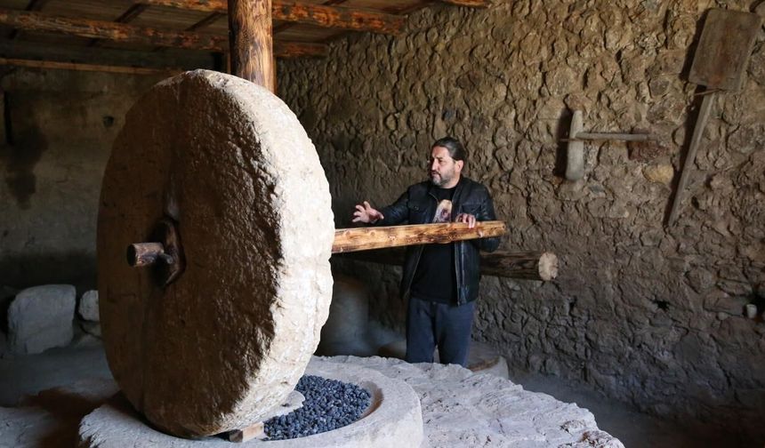Syedra Antik Kenti’nin zeytinyağı üretim merkezi olduğu ortaya çıktı