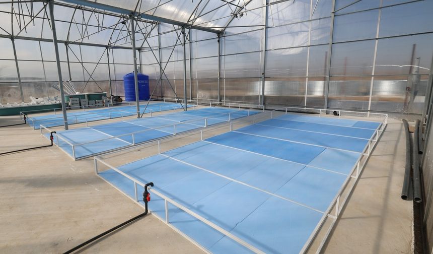 Afyonkarahisar'da jeotermal destekli balık üretimi başlıyor