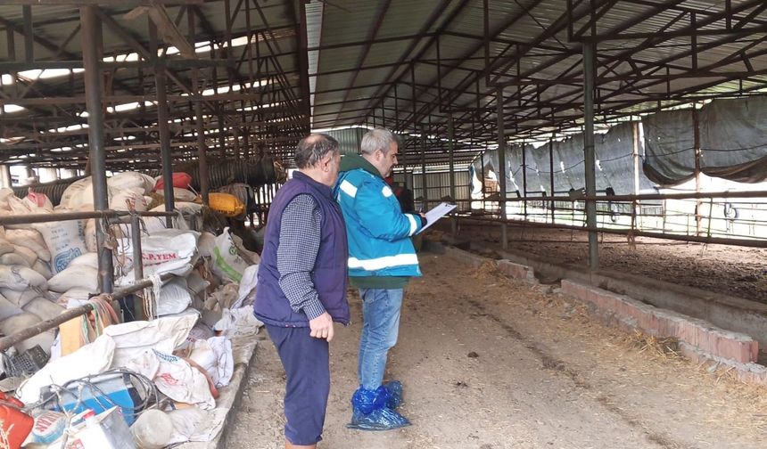 Kütahya Domaniç’te kapasite tespit çalışmaları sürüyor