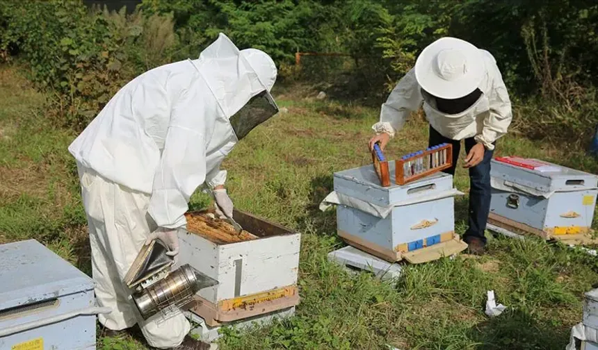 Kütahya’da arıcılara hibeli yem desteği projesi