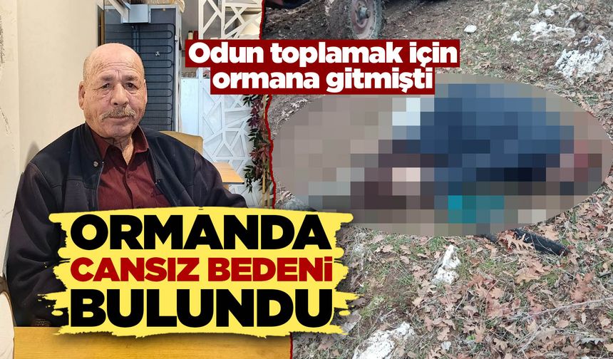 Kütahya'da odun toplamak için gittiği ormanda ölü bulundu
