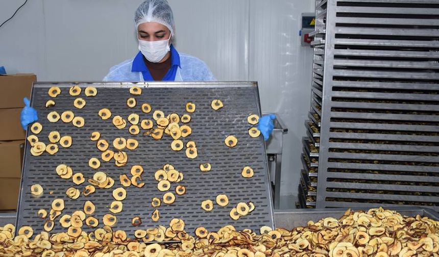 Meyve sebze tedarikçisi, devlet desteğiyle işletme sahibi oldu