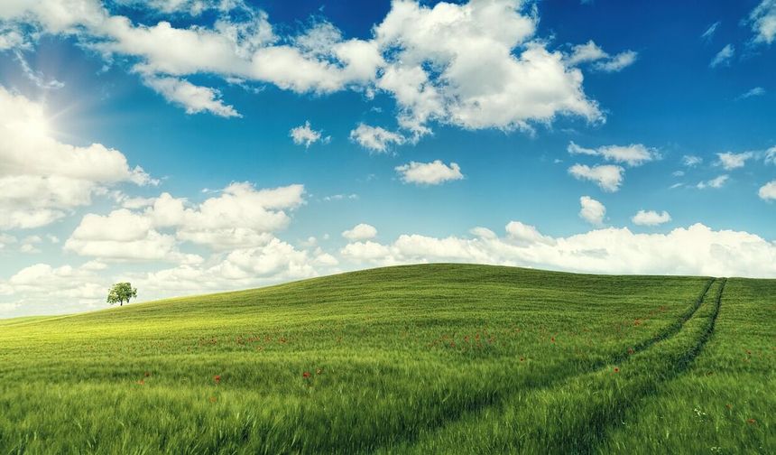 Simav'da dönümlük arazi mahkemeye düştü: Fiyatı herkesi şaşırttı!