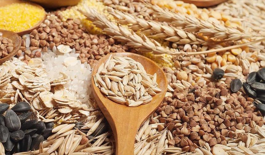 Trakya’dan 2025’te 2,2 milyar dolarlık ihracat