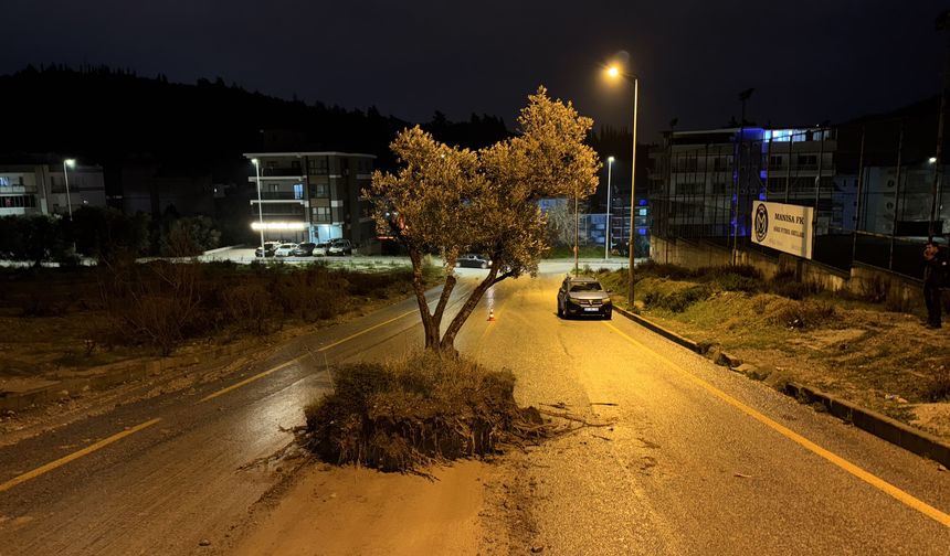 Aydın’da sağanak ve dolu hayatı olumsuz etkiledi
