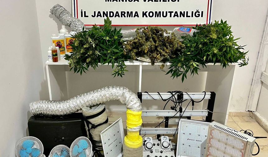 Manisa’da evde kurulan serada kenevir operasyonu