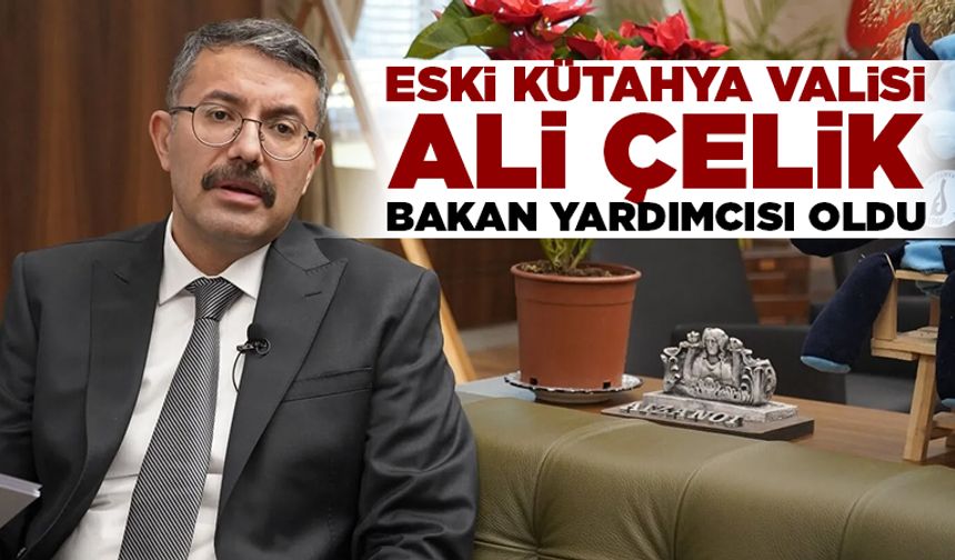 Eski Kütahya Valisi Ali Çelik, bakan yardımcısı oldu