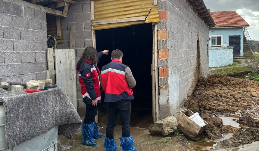 Kütahya Gediz’de hayvancılık işletmelerine inceleme