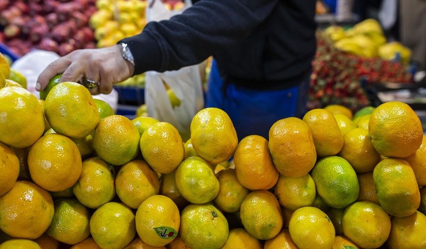 Tarım, gıda ve içecek sektöründen Ocak ayında 2,4 Milyar Dolarlık ihracat