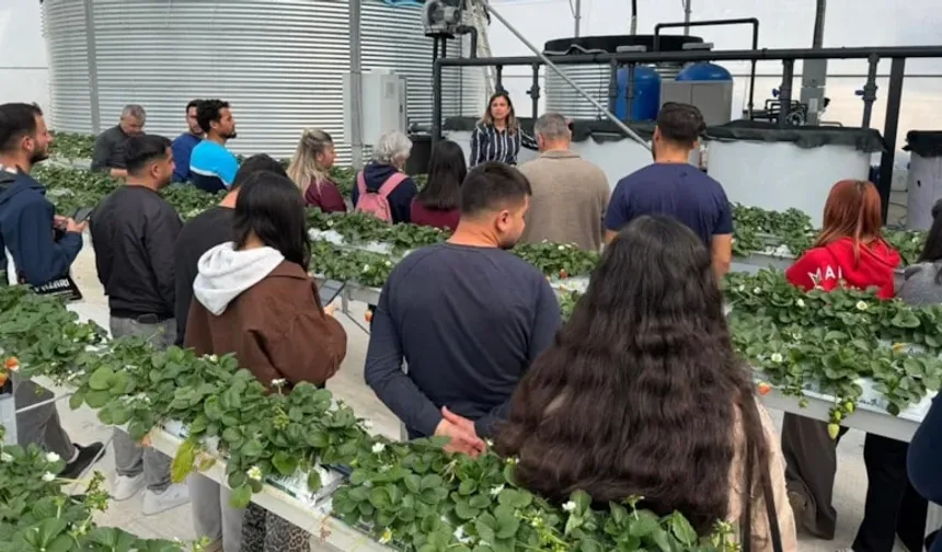 Antalya’da öğrenciler topraksız çilek üretimini inceledi