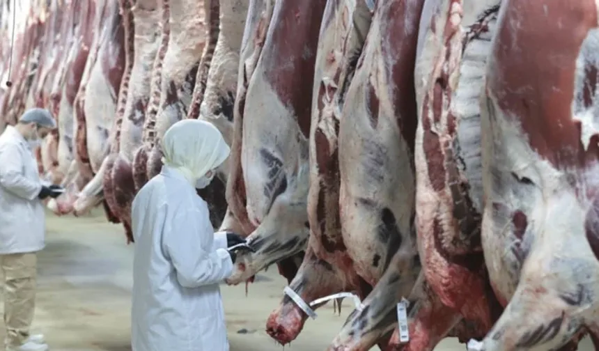 Et fiyatında manipülasyon operasyonu: 30 gözaltı