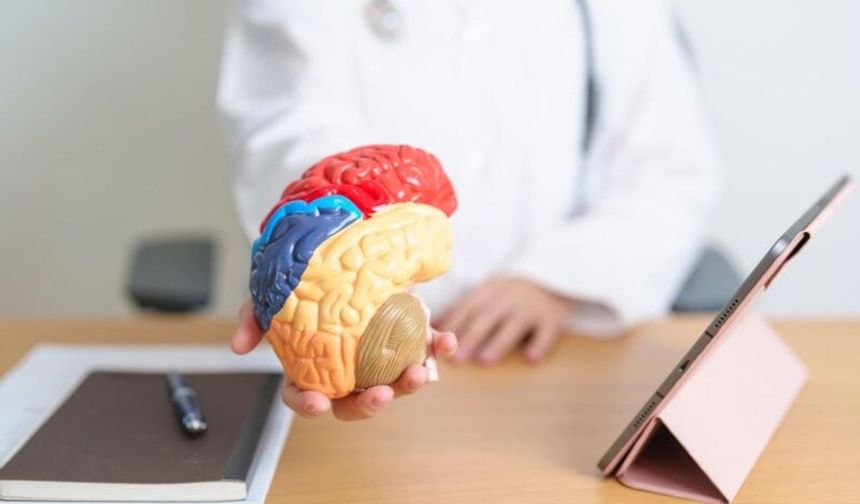 Hareketsiz yaşam beyni küçültebilir: Egzersiz zihni koruyor