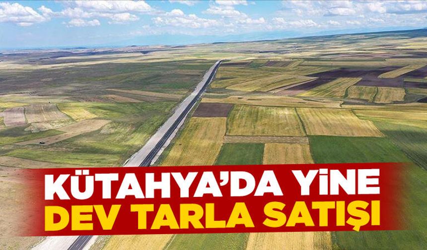 Kütahya Dumlupınar’da yüzlerce dönüm satılık tarla