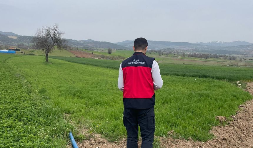 Kütahya Emet’te yonca tarlalarında denetimler sürüyor