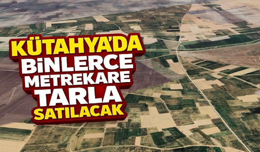Kütahya’da binlerce metrekarelik tarla, ihale ile satılacak