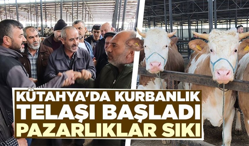 Kütahya’da canlı hayvan pazarında kurbanlık telaşı başladı