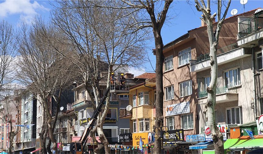 Kütahya’da ekipler, ağaçları budadı, temizlik yaptı