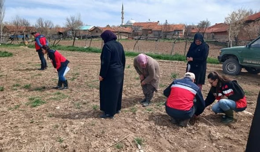 Kütahya’da İyi Tarım Uygulamaları eğitimi ve fidan kontrolü yapıldı