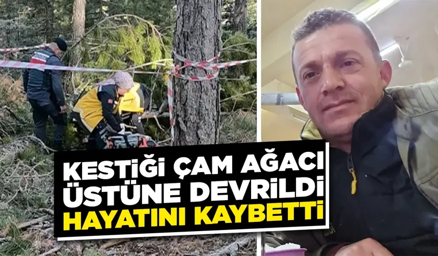 Kütahya'da kestiği çam ağacının altında kalarak öldü