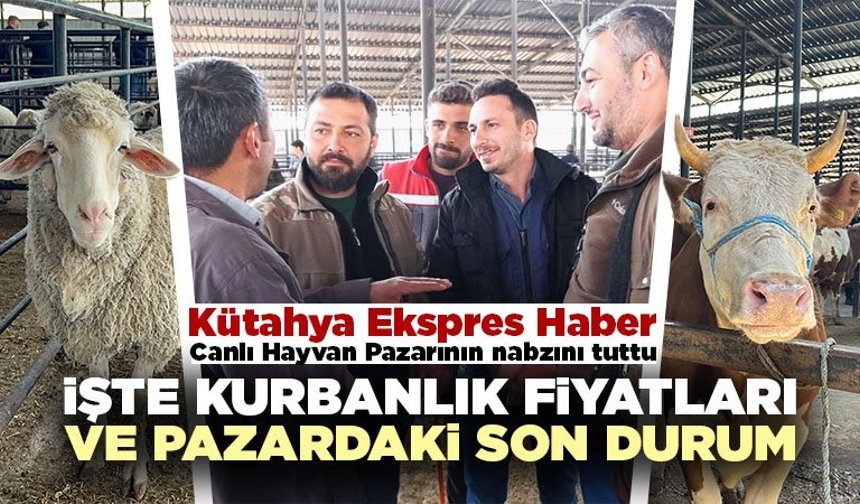 Kütahya’da kurbanlık fiyatlarında son durum