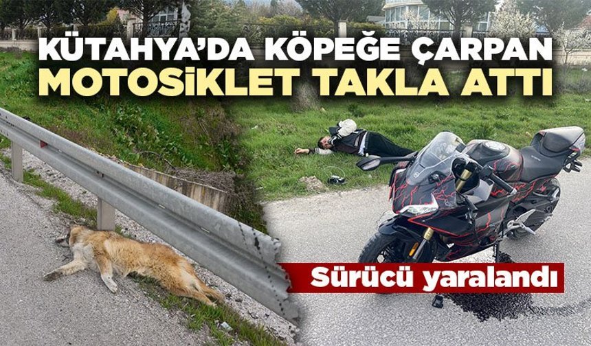 Kütahya’da motosiklet köpeğe çarpıp takla attı