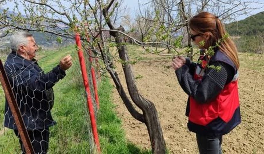 Kütahya Şaphane’de zirai don kontrolleri tamamlandı