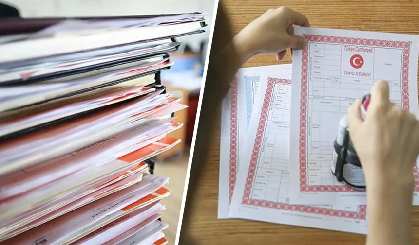 Tapuda gerçek beyan uygulaması