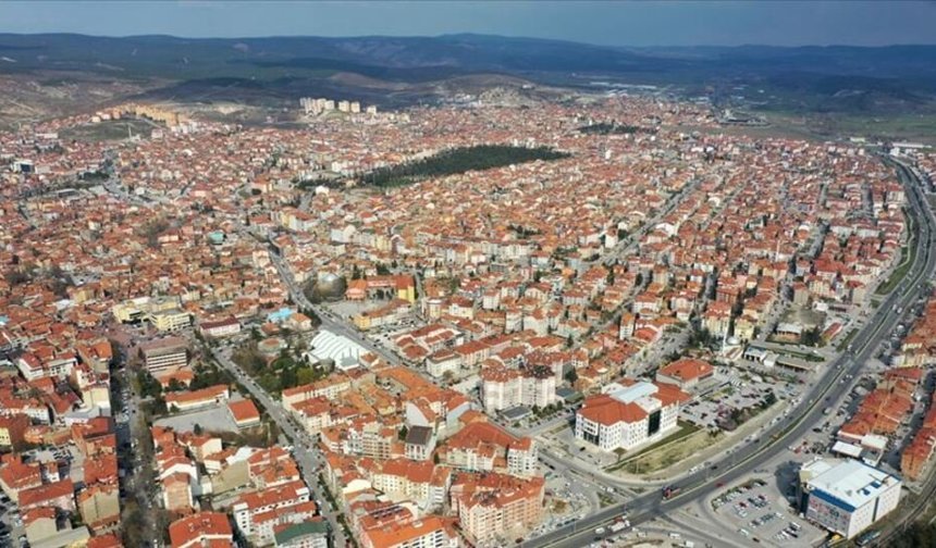 Kütahya Tavşanlı’da arsa ve tarla mahkemeden satışa çıkıyor
