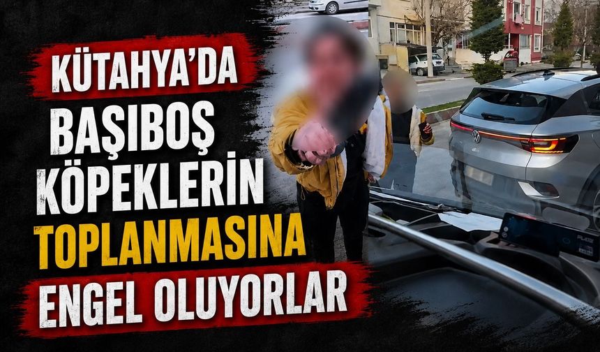 Kütahya’da sahipsiz köpeklerin toplanmasına engel oluyorlar
