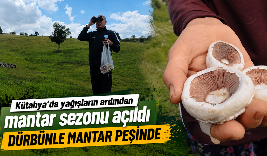 Kütahya’da yağışların ardından mantar günleri başladı