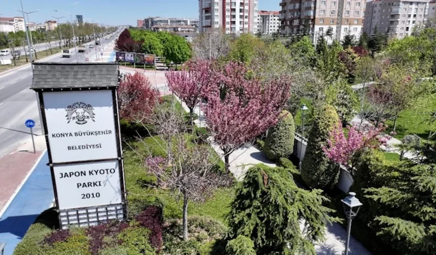 Konya’da sakura ağaçları baharı müjdeliyor